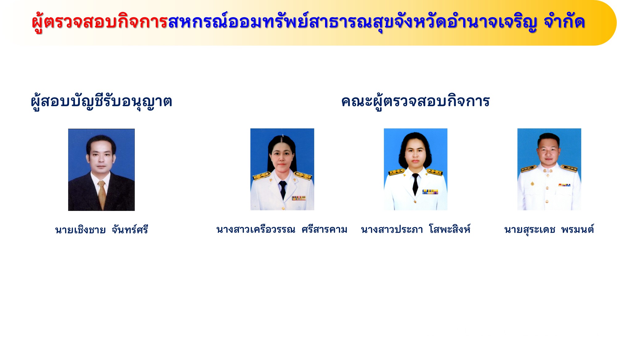 ผู้ตรวจสอบกิจการ